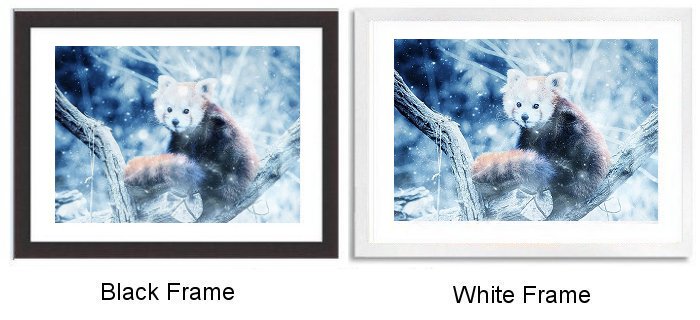 Red Panda Vintage Art Framed Print